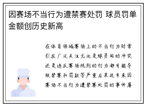因赛场不当行为遭禁赛处罚 球员罚单金额创历史新高 因赛场不当行为遭禁赛处罚 球员罚单金额创历史新高